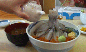 Octopus is alive!.gif (4 MB)